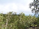 Rifugio Citelli